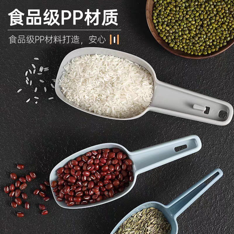 Shovel Shaped and measuring Cups (set)